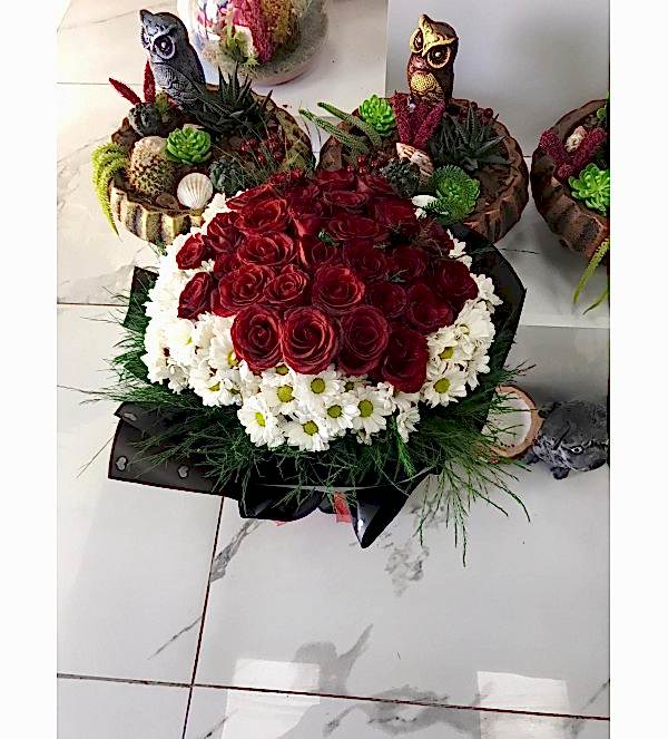 21 Kırmızı Gül vePapatya